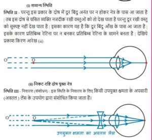 मानव नेत्र एवं रंग बिरंगी दुनियाँ