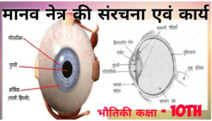 मानव नेत्र एवं रंग बिरंगी दुनियाँ