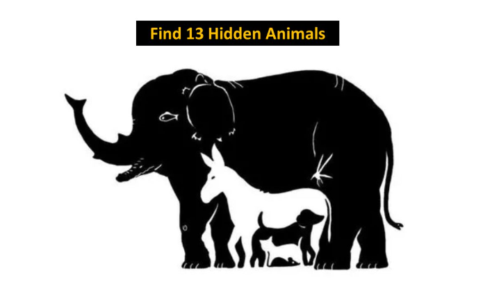 hidden animals breain game optical illution