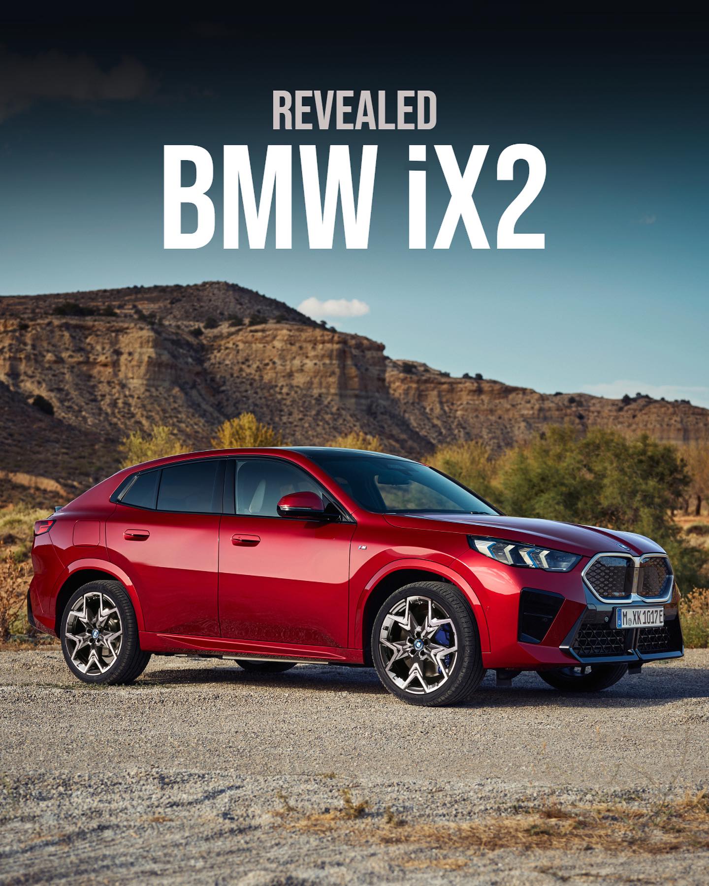 BMW IX2 (1)