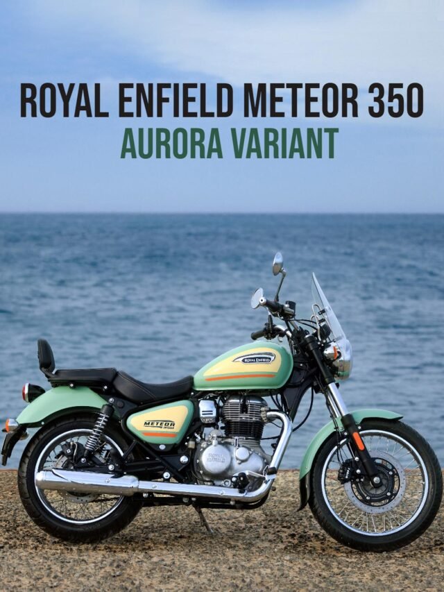 royal enfild bike (5)