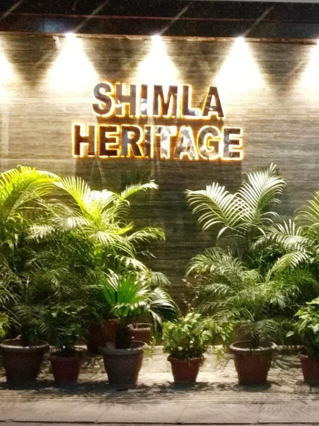 Top 10 best Hotels In Mall Road Shimla in 2024