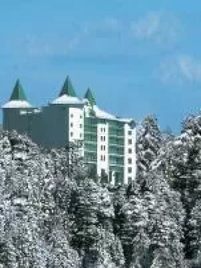 shimla best hotels near mall road