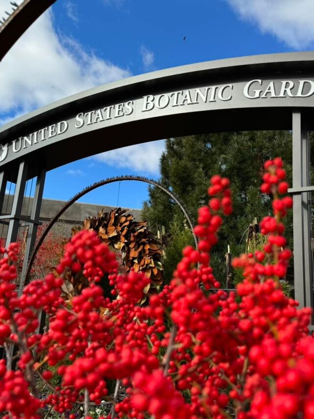 U.S. Botanic Garden